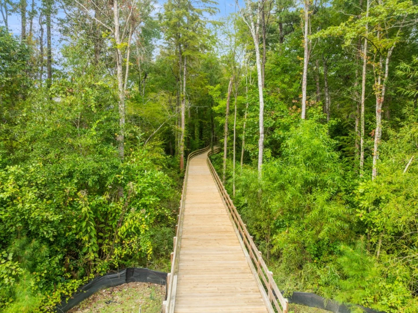 Wooden boardwalk winding through lush, green forest, showcasing nature's beauty and a peaceful retreat intersecting the work of a home builder.
